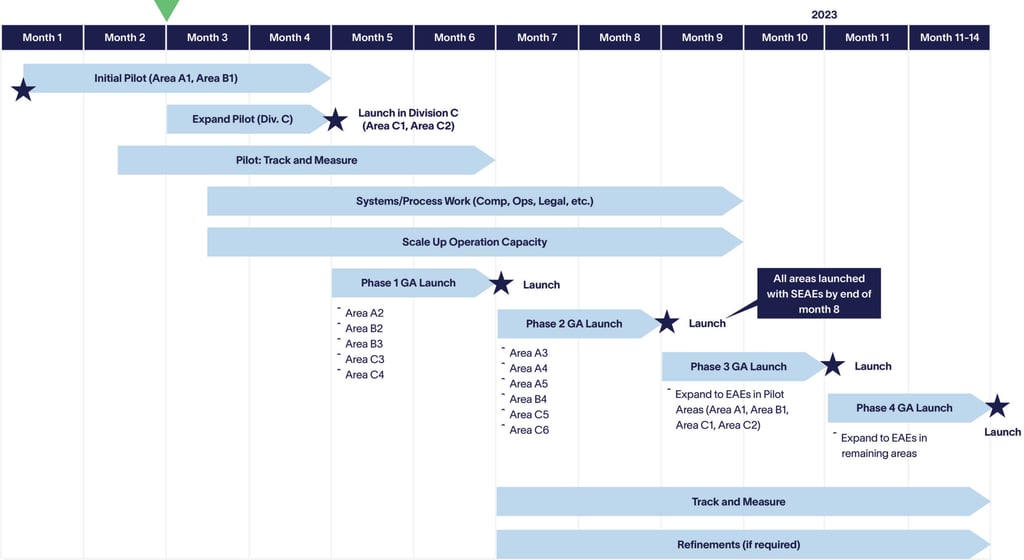 Business-Transformation-Altman-Solon-Operational-IMplementation-GTM-Pilot-Plan