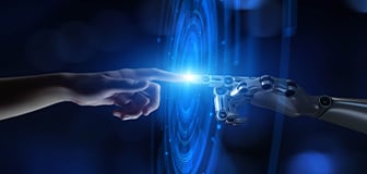 Humanoid Home Robots: The Gap Between Interest and Adoption
